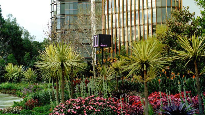 Garden with plants and building in the background