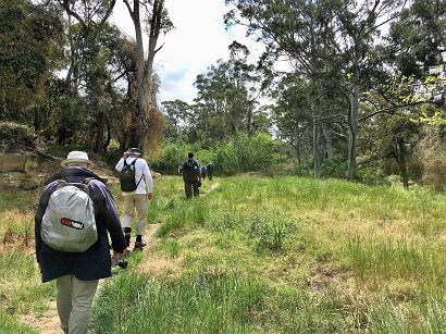 People walking along the Great West Walk