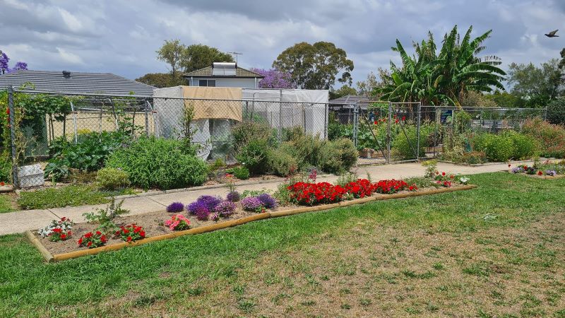 Garden bed with plants and flowers